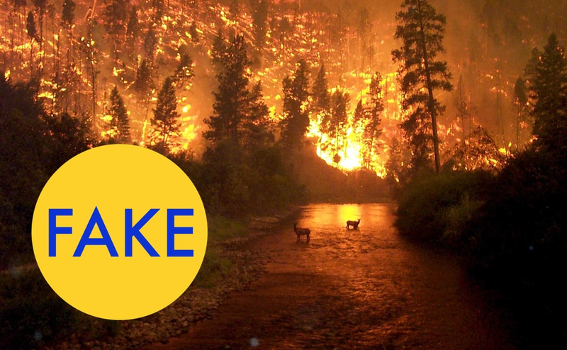 Illustration for article titled 7 More Viral Photos That Are Totally Fake